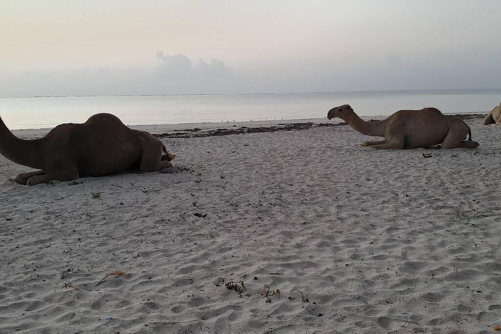Cowrie Beach Haven Studio Apartment Mombasa Bagian luar foto